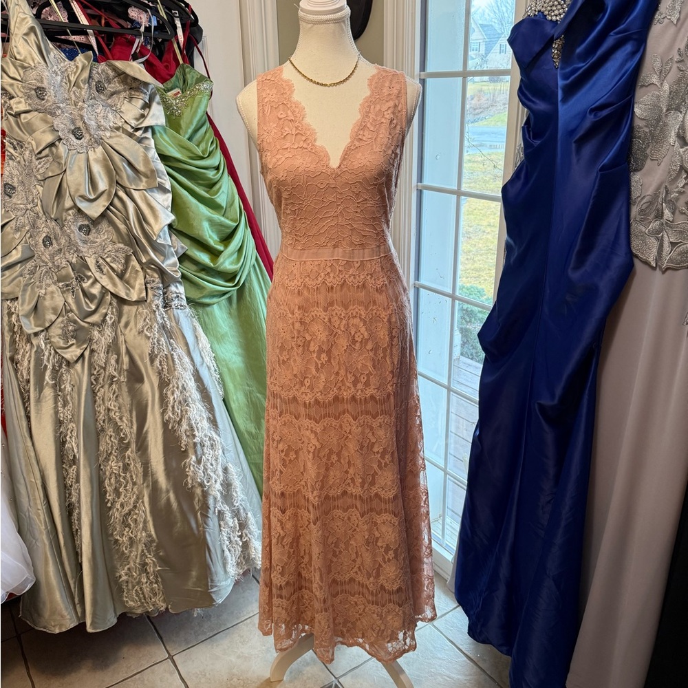 Francesca's Collections Dusty Rose Lace Maxi Dress